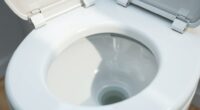deep cleaning toilet tank
