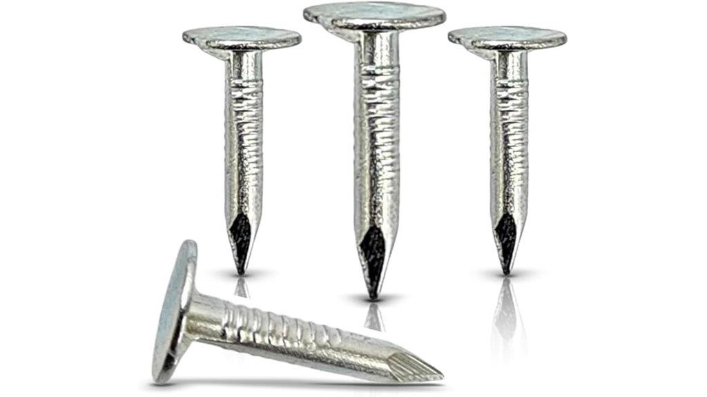 large galvanized roofing nails