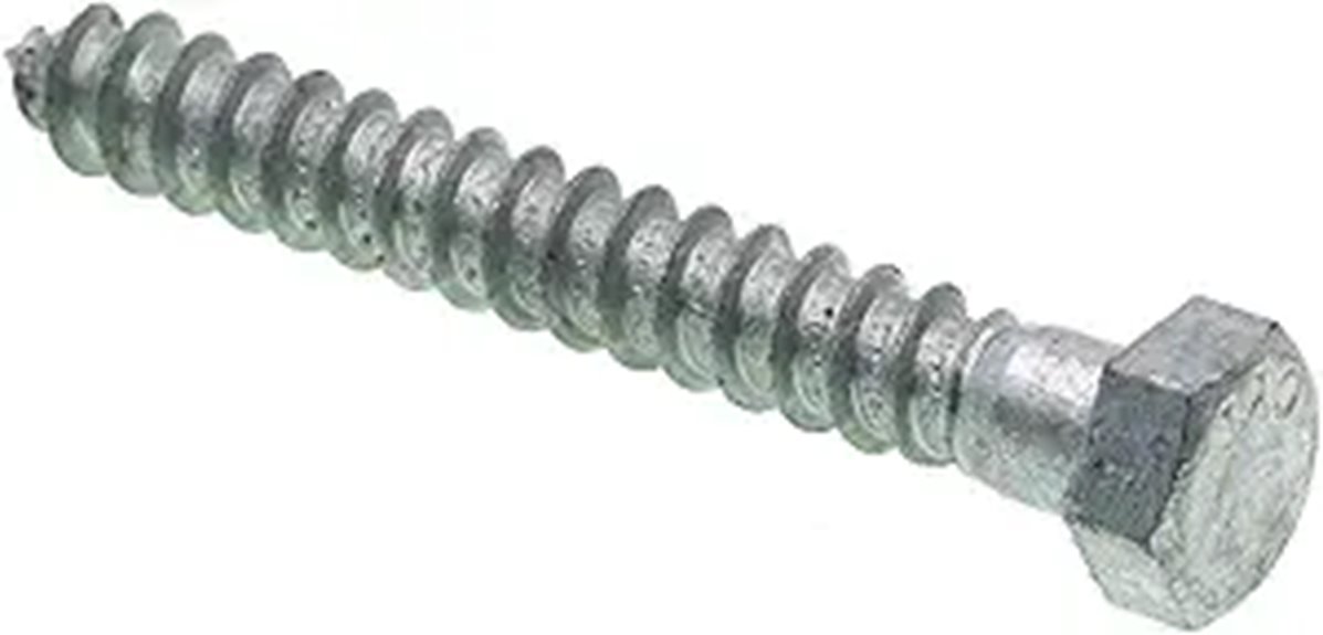 pack of 25 hex lag screws