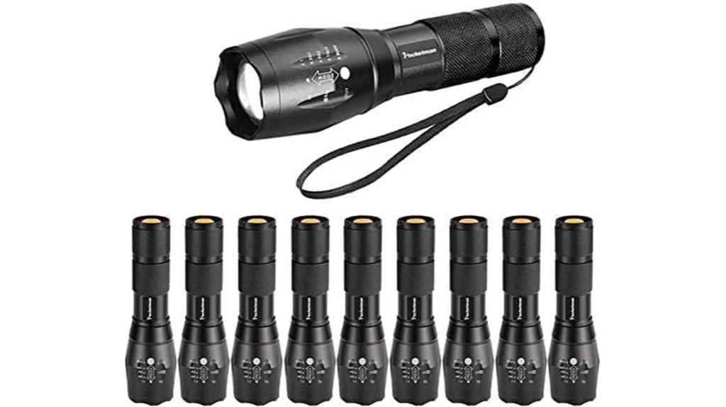 pack of ten led flashlights