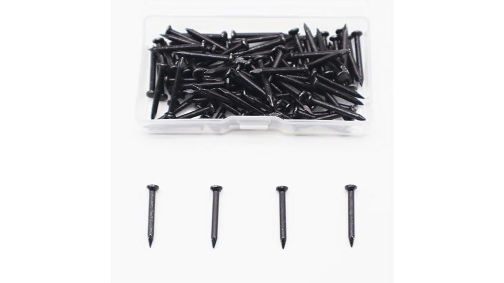steel nails for wall art