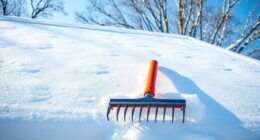top roof rakes 2025