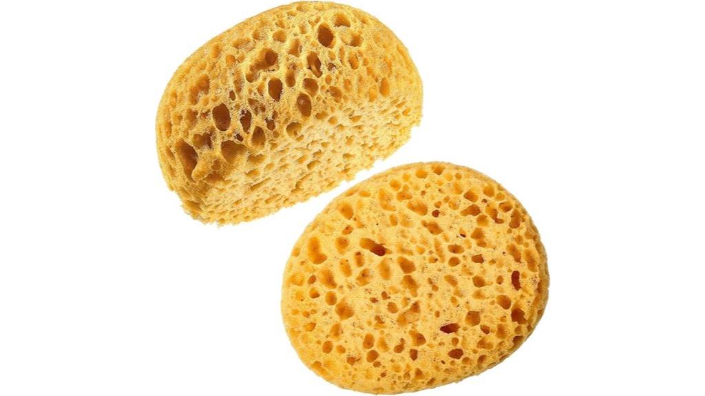 wall repair sponge set