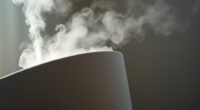 white dust from humidifiers