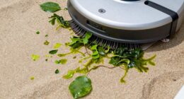 pool debris and cleaning