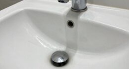 waterline cleaning oversight issues