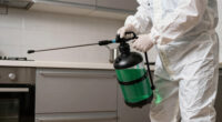 11 Best Best Electrostatic Sprayer Backpack Disinfectant in 2026