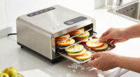 12 Best Stainless Steel Dehydrator 10 Tray in 2026