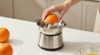 13 Best Best Premium Citrus Juicer Electric in 2026