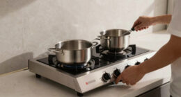 7 Best Double Induction Burner Commercial Grade in 2026