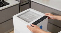 7 Best Whole House Air Purifier UV and HEPA in 2026
