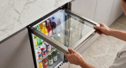 9 Best Best Countertop Beverage Refrigerator Premium in 2026