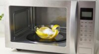 eliminate microwave odor odors
