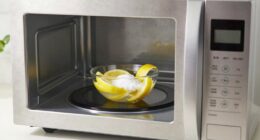 eliminate microwave odor odors