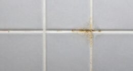 grout discoloration occurs quickly