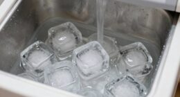 ice maker flavor issues