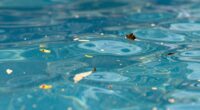increase in fine debris
