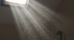 microscopic particles pose health risks