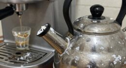 mineral buildup damages appliances