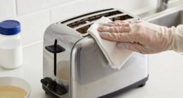 proper small appliance cleaning