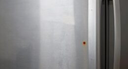 stainless steel rusts occasionally