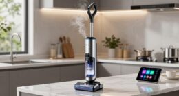 steam cleaners popularity increases