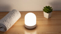 2 Best Home Night Lights In 2026