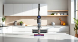 How to Clean a Dyson Outsize Effectively & Safely