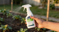 11 Best Slug Control Products in 2026