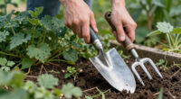 12 Best Weeding Tools in 2026