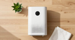 14 Best Mini Dehumidifiers in 2026