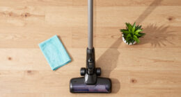 15 Best Cordless Stick Vacuum Cleaners in 2026
