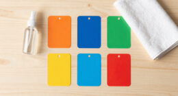 4 Best Flashcards in 2026