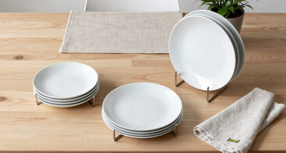 5 Best IKEA Plate Holders for Storage in 2026