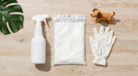 5 Best Pet Waste Cleanup Products in 2026