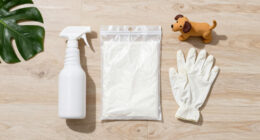 5 Best Pet Waste Cleanup Products in 2026
