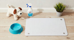 7 Best Pet-Proof Home Products in 2026
