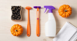9 Best Summerween Merchandise in 2026