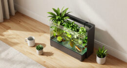 NYC Apartment Aquaponics