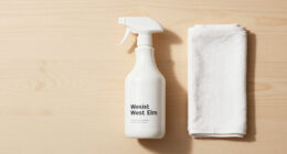 West Elm Surges In Global Coverage