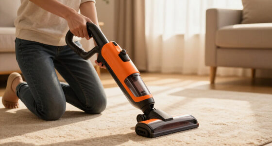 11 Best Cordless Handheld Carpet Cleaners in 2026
