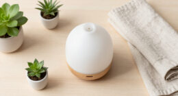 14 Best Home Diffusers in 2026