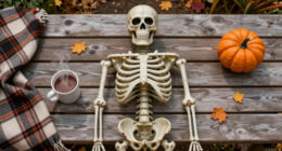 15 Best Giant Halloween Skeletons in 2026