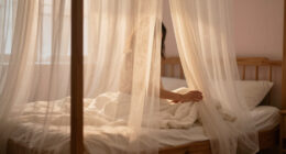 7 Best Canopy Beds in 2026