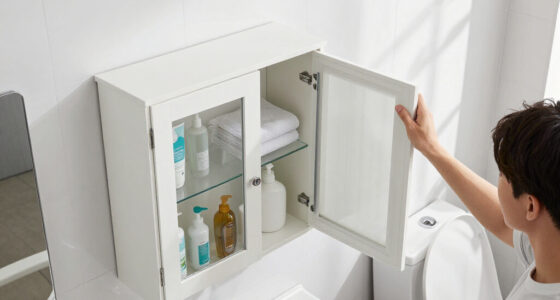 Transform Your Bathroom With An Over-the-Toilet Cabinet For Extra Storage