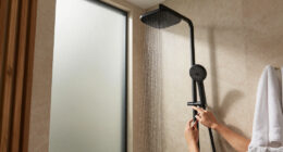 15 Best Spa Shower Systems in 2026