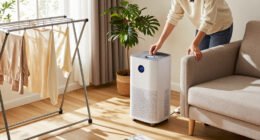 15 Best Dehumidifiers for Small Homes in 2027