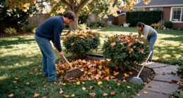 Don’t Throw Out Your Raked Leaves—Here Are 7 Smart Things To Do With Them Instead
